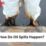 Oil Spills and Marine Life: A Call for Sustainable Solutions