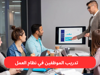 تدريب الموظفين في نظام العمل: أداة استراتيجية لتعزيز الأداء والاستدامة