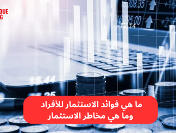 مفهوم الاستثمار: أهم الأنواع، الخطوات، والمخاطر