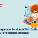 Cash Management Services (CMS): Optimising Cash Flow For Financial Efficiency