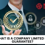 Foundations of Company Limited by Guarantee: A Practical Handbook