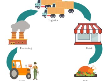 Mastery In Food Chain Sustainability And Safety