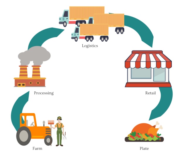 Agribusiness and Value Chains within the Global Food Industry