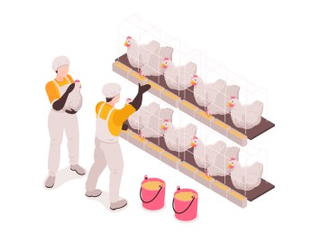 Innovations in Sustainable Poultry Production: Mitigating AMR and Enhancing Product Quality