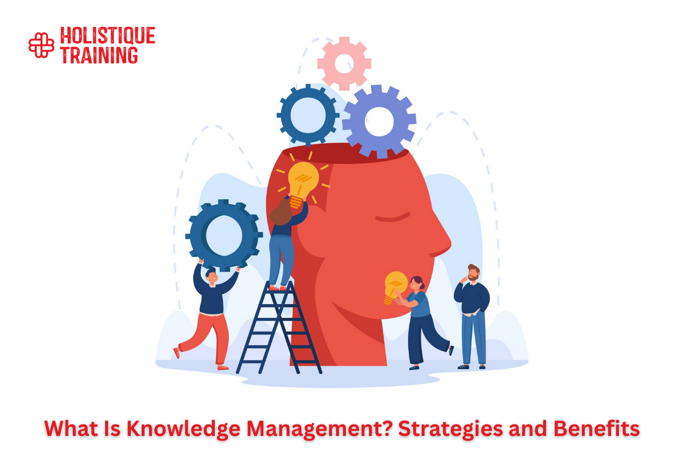 What Is Knowledge Management? Strategies and Benefits