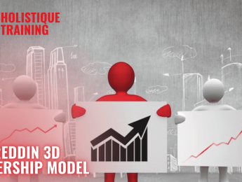 What Is the Reddin 3D Leadership Model?