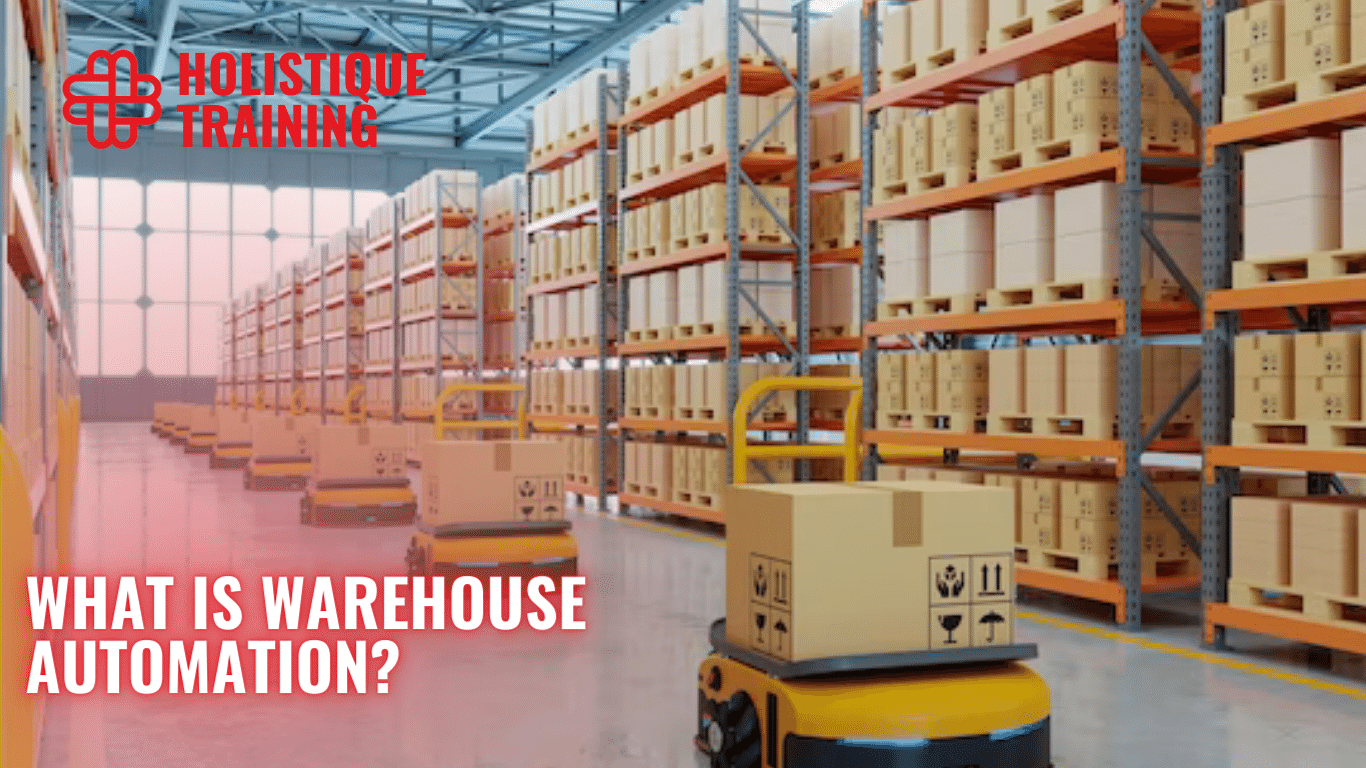 Streamlining Your Warehouse: The Impact of Automation on Productivity and Finances