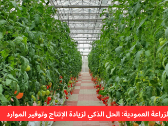 الزراعة العمودية: مفهومها وفوائدها المستقبلية